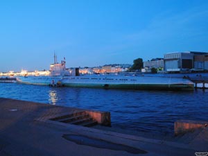Дельта реки Невы. Санкт-Петербург. 29 мая 2011 года